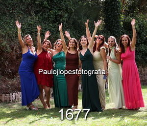 1677-1 - Image 1