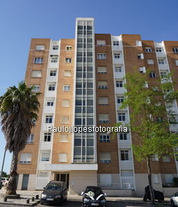 0001-1 - Image 1